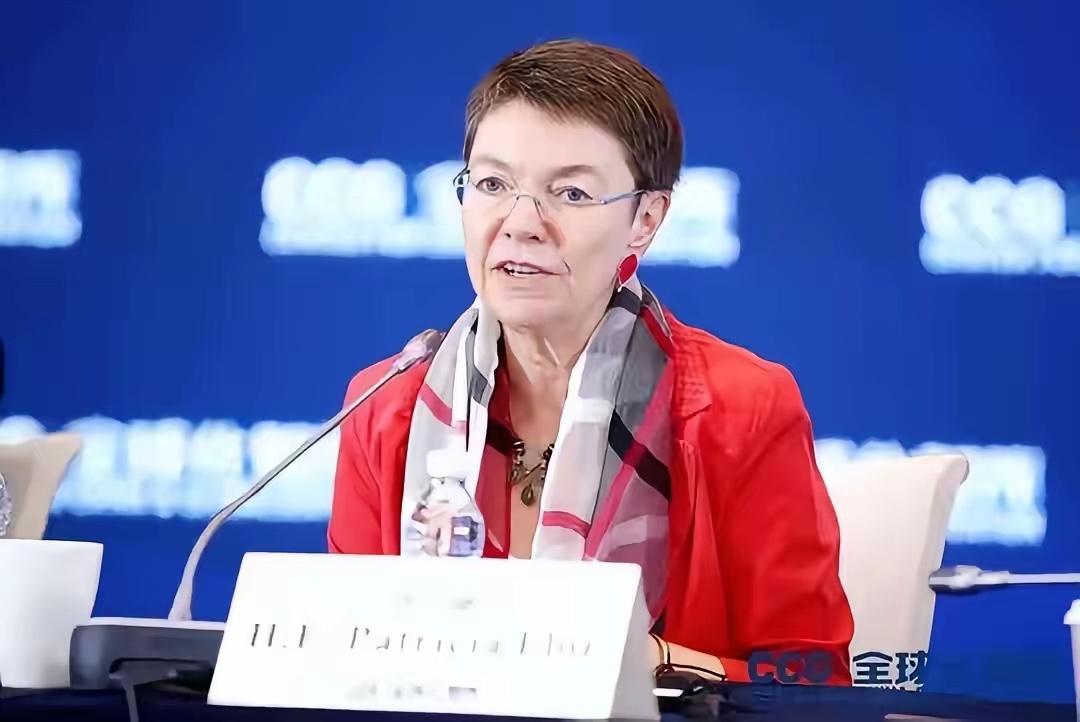 热死5120人，德国驻华大使馆还在劝：别买空调，热就去湖里游泳

欧洲今年空调销