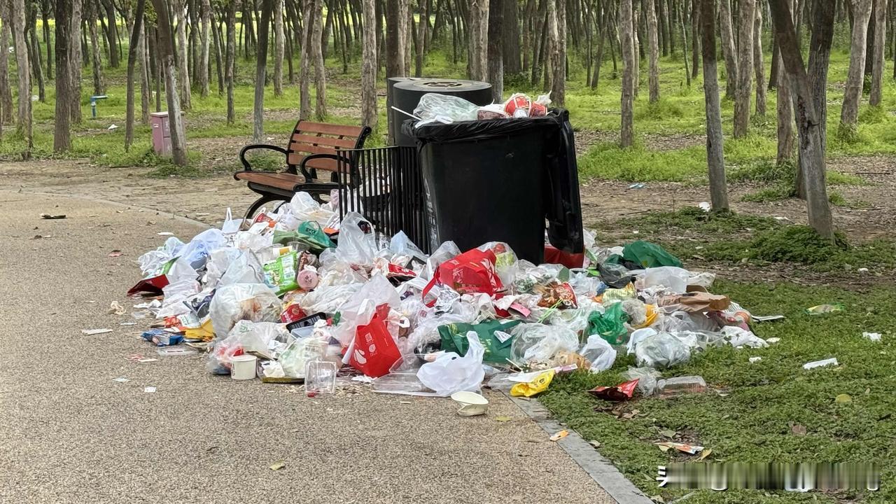 假期过后公园里垃圾遍地，太难看了分享一下你随手拍的照片遗址公园拍照