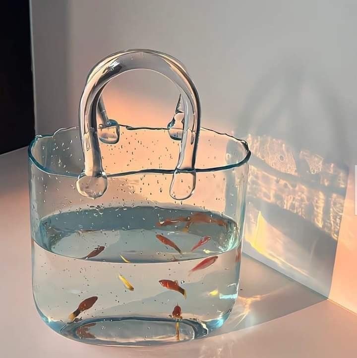𝐆𝐨𝐥𝐝𝐟𝐢𝐬𝐡 𝐰𝐨𝐫𝐥𝐝金鱼的世界🐠 ​​​