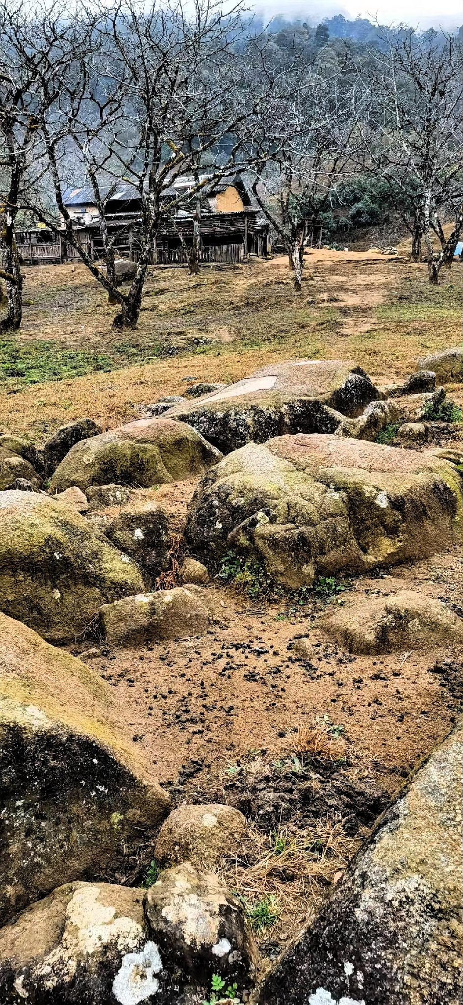 古朴的村落，静谧的田园，尽显岁月静好。久居城市的人，很难邂逅这样的景致。这些照片