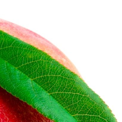 生活手记 1200种植 桃子🍑的种植方法：1、土壤管理A.深翻改土。桃在秋冬季