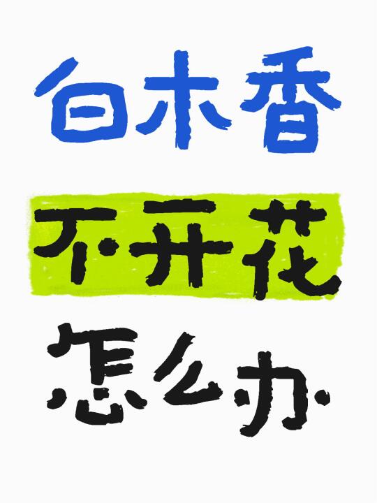 隔一年开一次的尴尬谁懂？