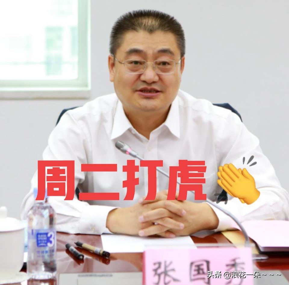 就在刚刚，
看了“界面快讯”新闻，“张国秀”被查，于是看了一下他的工作履历，60