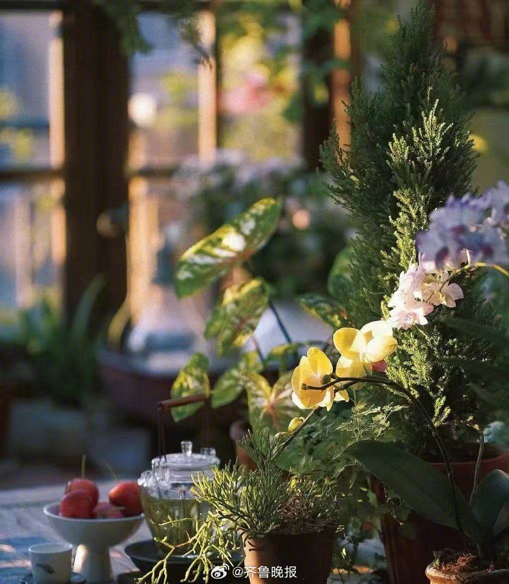 人生没有白走的路，每一步都在为你积累发光的能量。#早安#