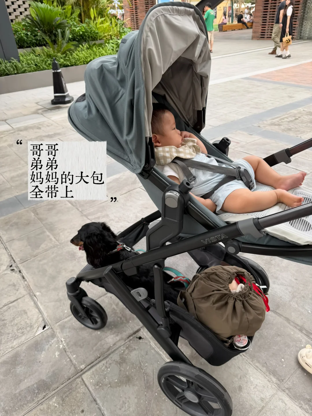 没什么推车比uppababy更适合我们家了