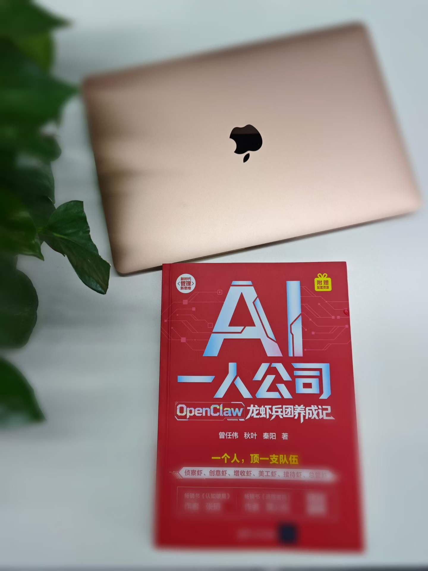 我在秋叶集团的新工位。四海为家，到处办公，说的就是我。 