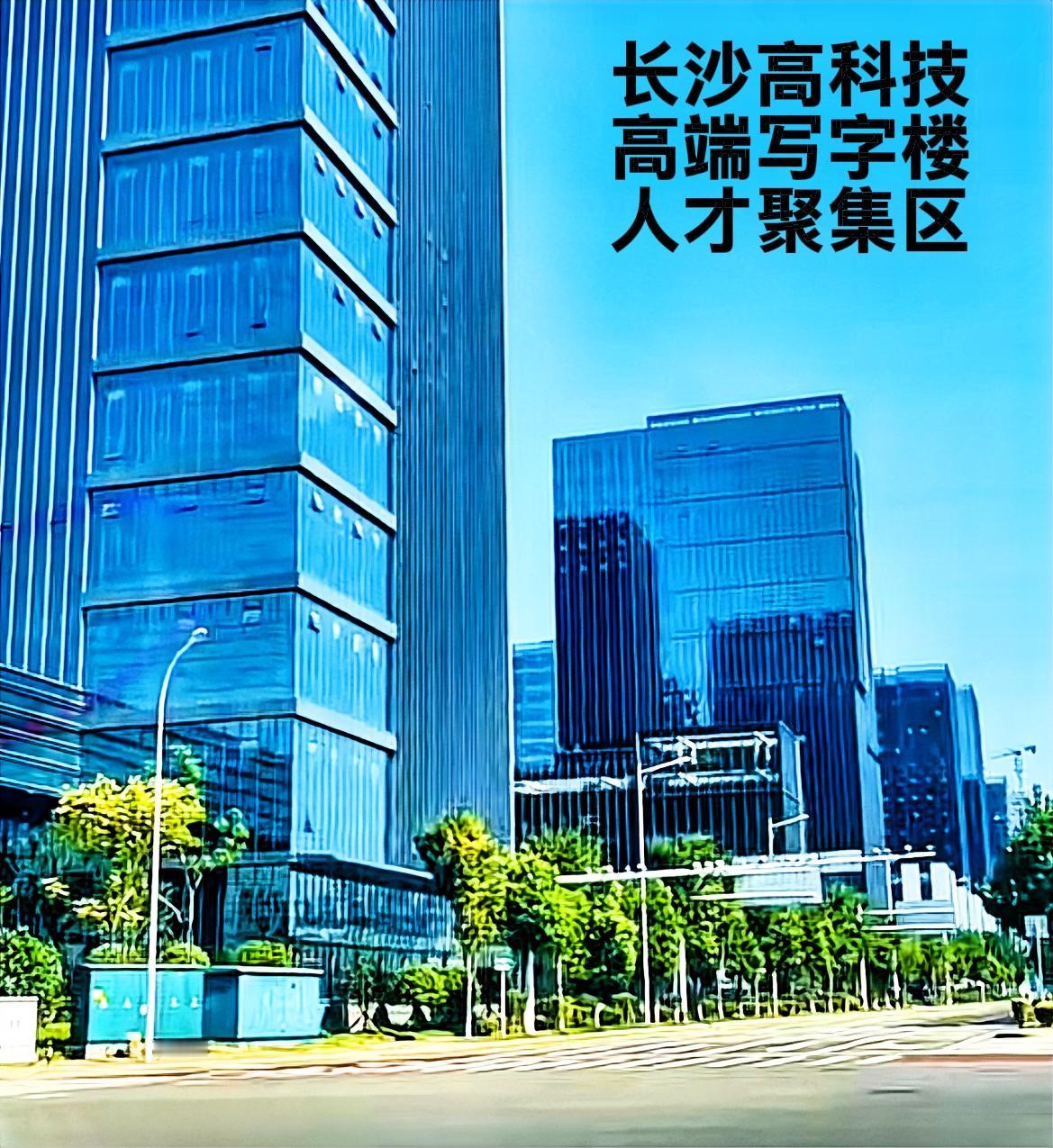 说实话，长沙作为一个省会城市，长沙的发展是要带好头拉动株潭的经济向前跑，而不是出