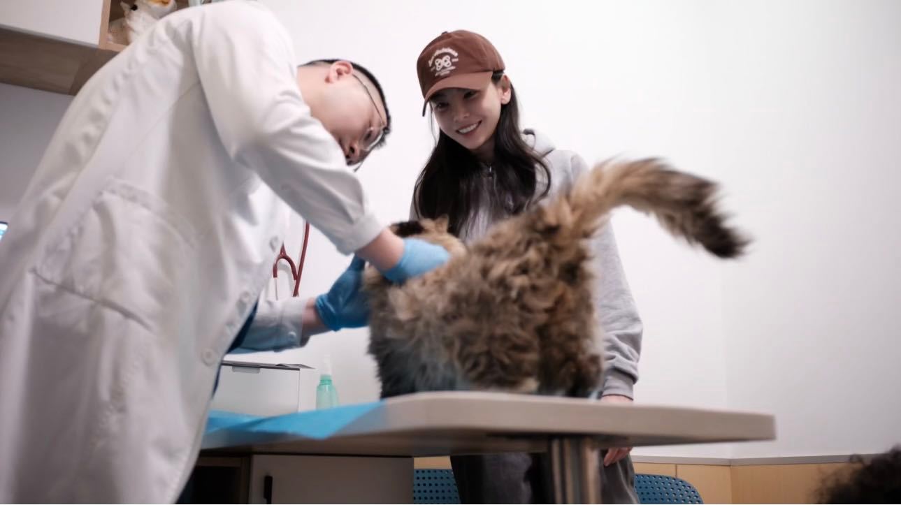 于文文呼吁领养代替购买于文文怕不是猫薄荷转世吧！初次见面，高冷猫咪竟主动跳进她怀