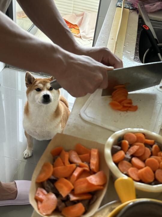 目光炙热
