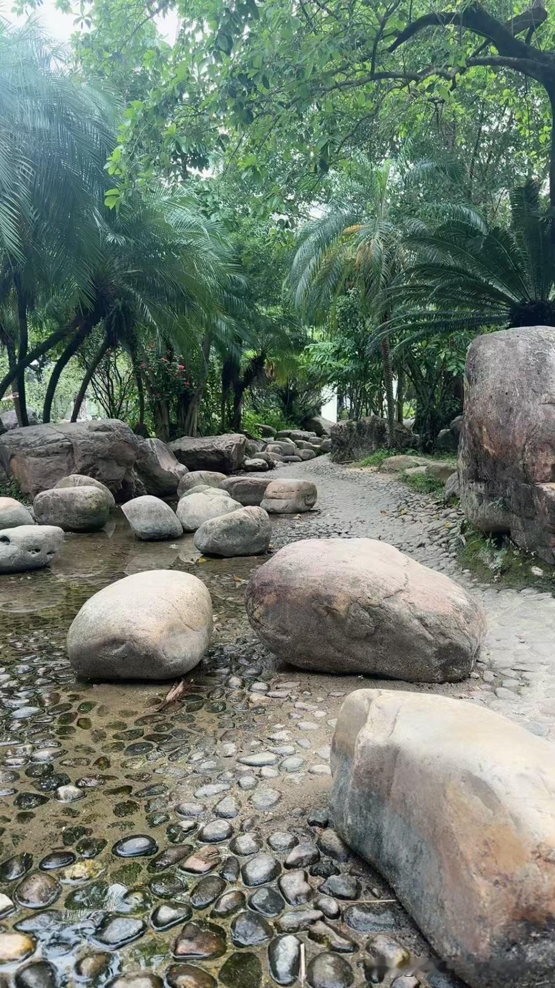 灵活就业很难简单定义成福利，或是单纯的无奈。对一部分有专长的人来说，它是一份时代