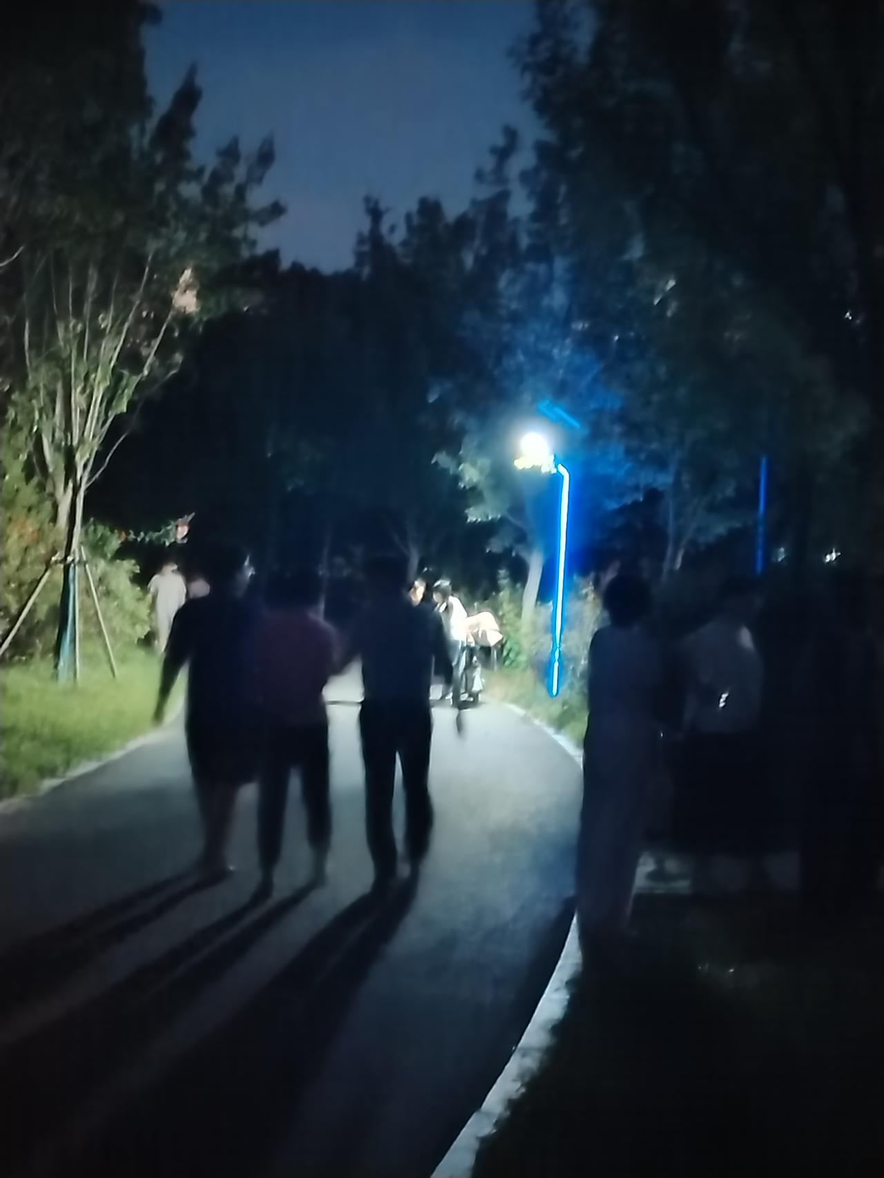 左天吃过晚饭，去公园散步时，拿起手机随手拍了几张公园夜景图片，分享给大家。
