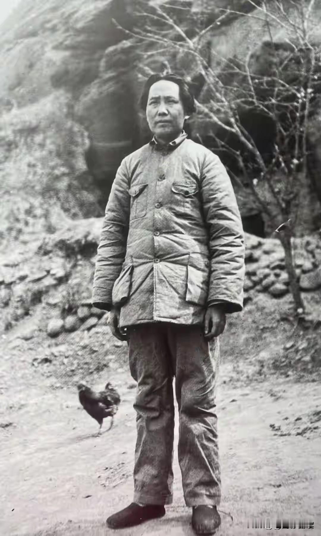毛主席风采