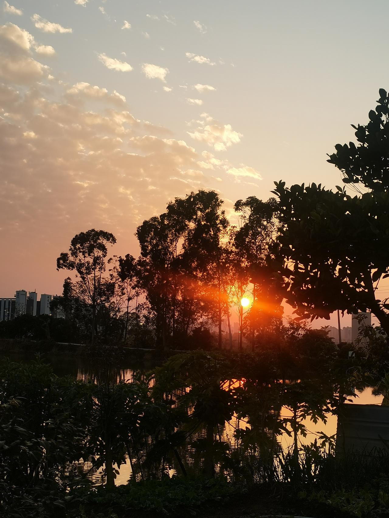 人生如梦，从来不曾想过有一天会从深圳光明又搬到惠州市水口镇鹿港村这样一个绝对的乡