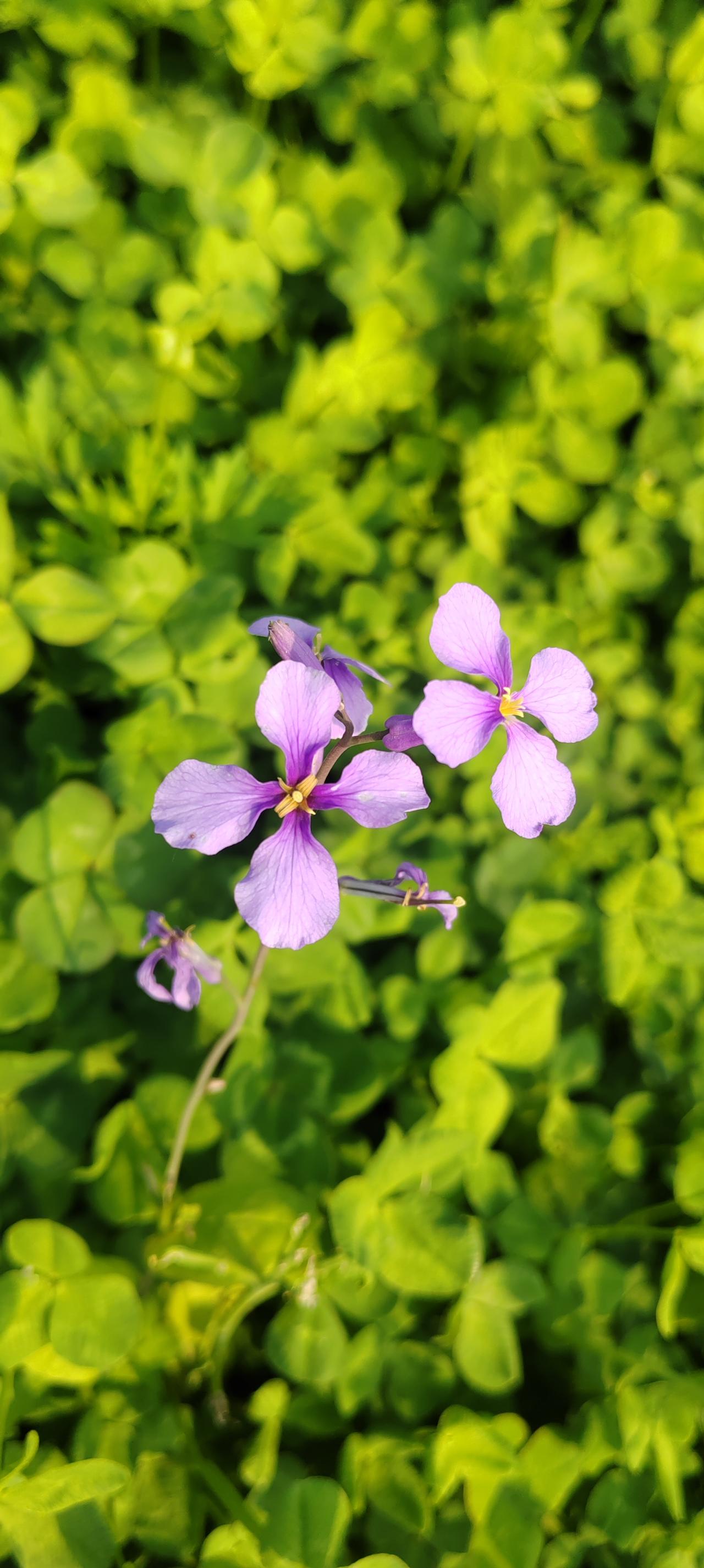 如果您的孩子学习不好，请您一定善待他！
现在的学校、老师、家长都唯分数论，成绩好