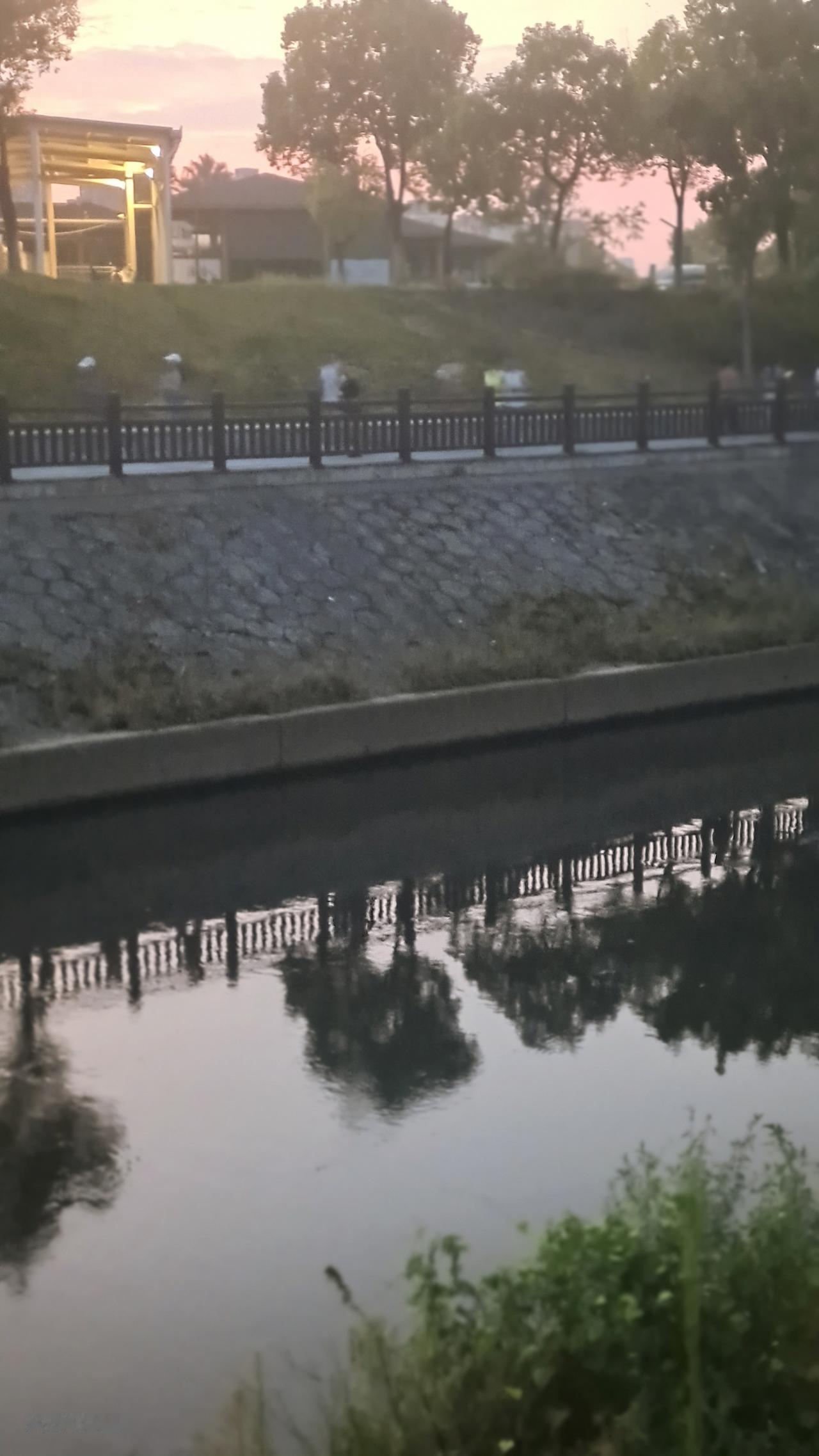 马年到啦，我的新目标那可是相当明确。首先得在事业上策马奔腾，收入能像脱缰野马般增