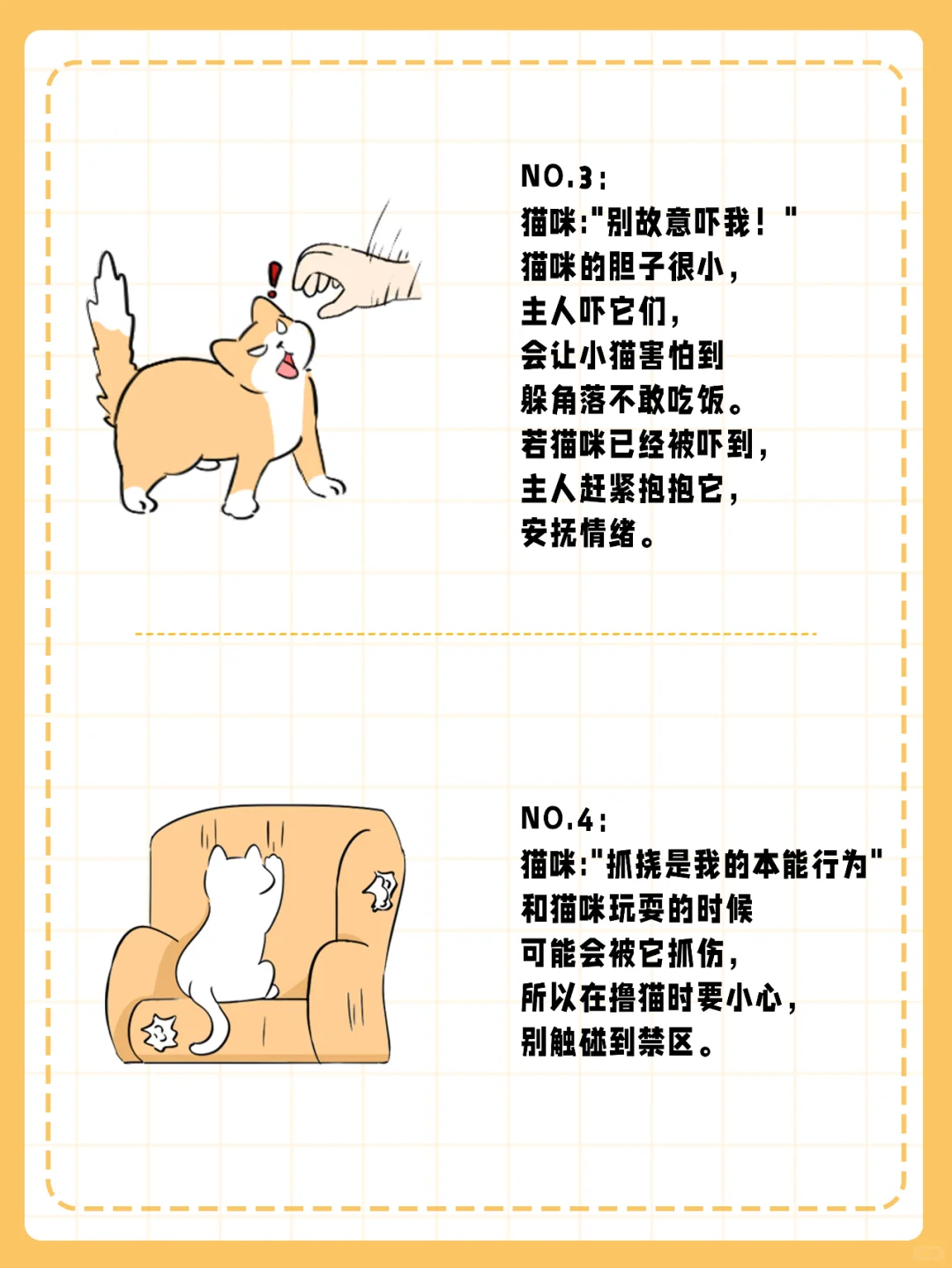 如果猫咪能说话，它想跟你说什么？