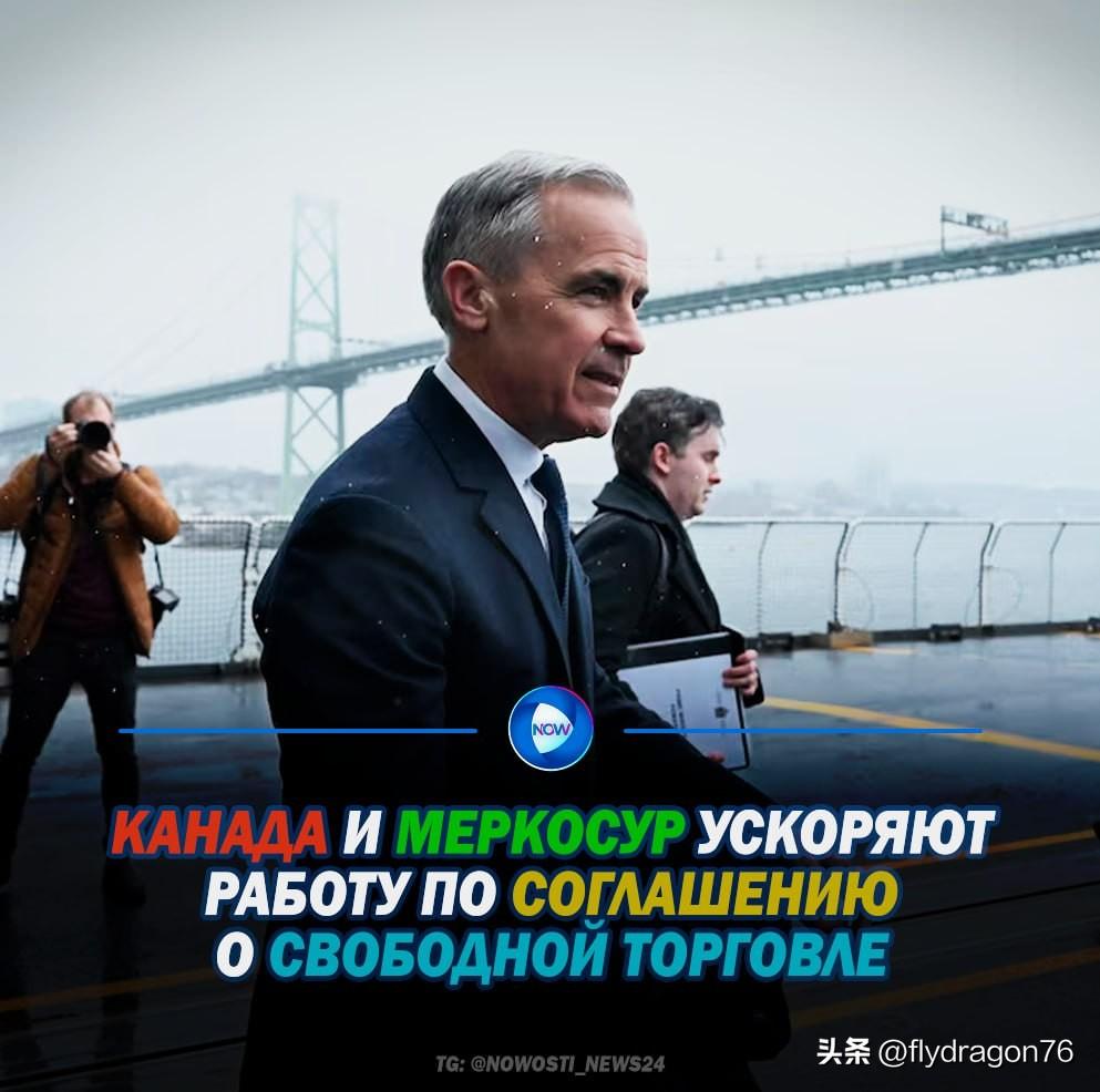 🇨🇦🇧🇷 截至2026年3月底，加拿大与南方共同市场（MERCOSUR）