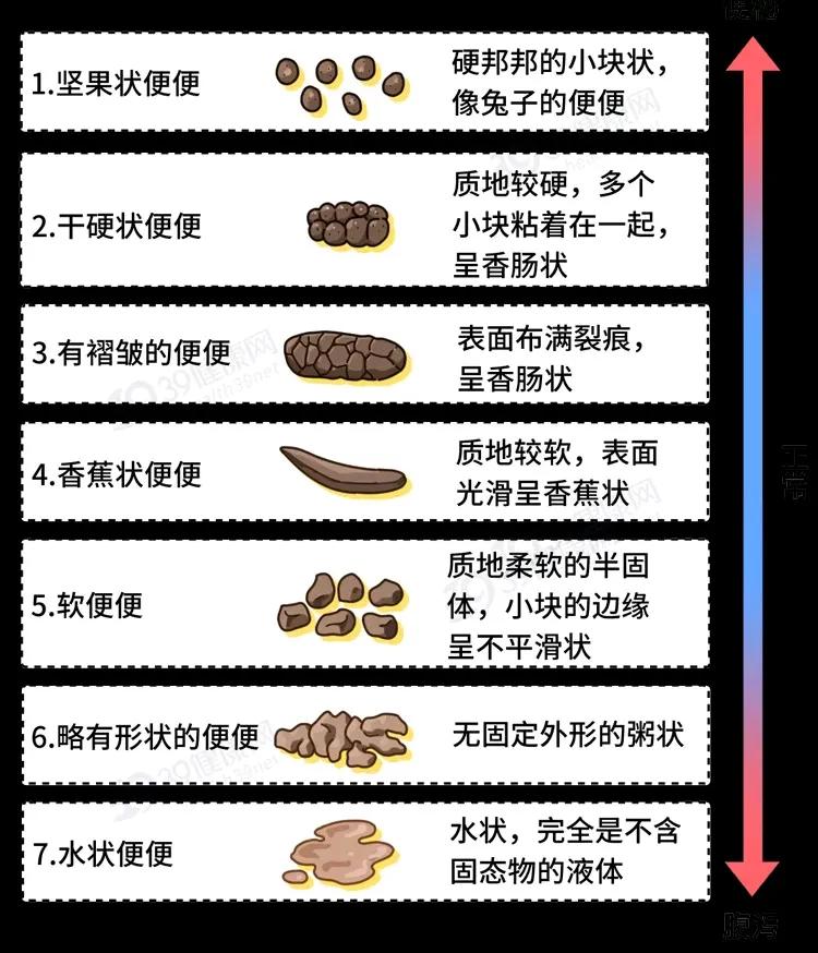 布里斯托💩分类法 [星星眼]