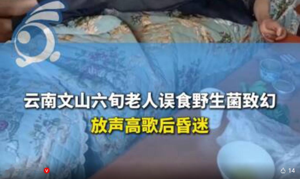 近日云南文山就发生惊险一幕，一名六十多岁的老人自行采食野生菌烹饪食用，没多久就出