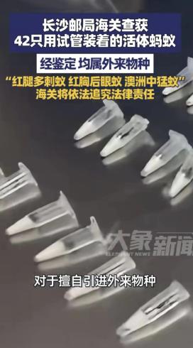 我们一定要有警惕之心不要醉生梦死了。很多人觉得，现在和平年代，没人敢明目张胆来硬