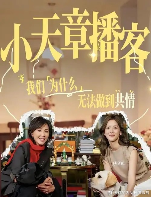 章泽天《小天章》三期轨迹，画出了一条清晰的舆论应激曲线：被骂→换赛道+强公关→上