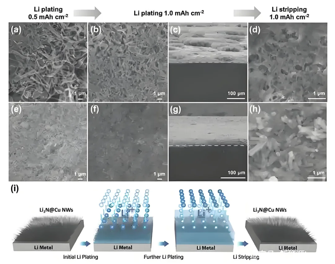 #锂电池锂枝晶介绍