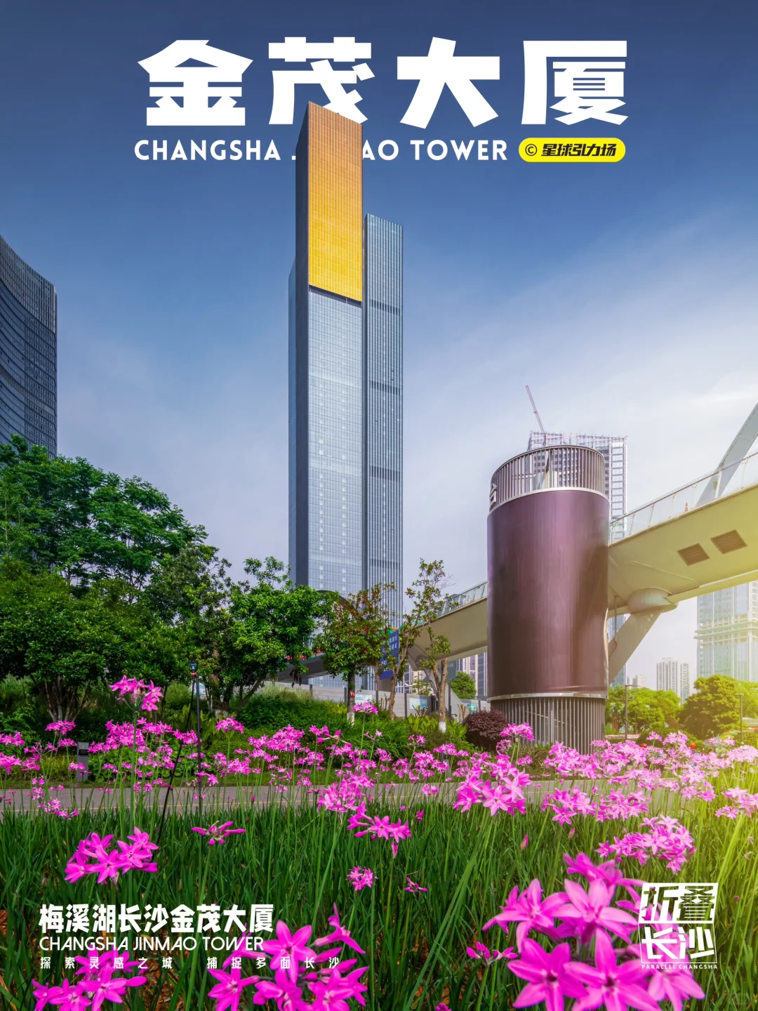 三百米高的巨型“金白沙”在长沙落成🏗️