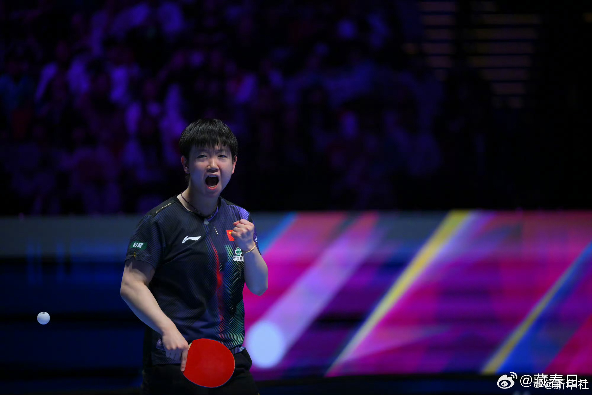 我去才知道孙颖莎创造历史了自1973年乒乓球世界杯创办以来，此前尚未有女子选手实