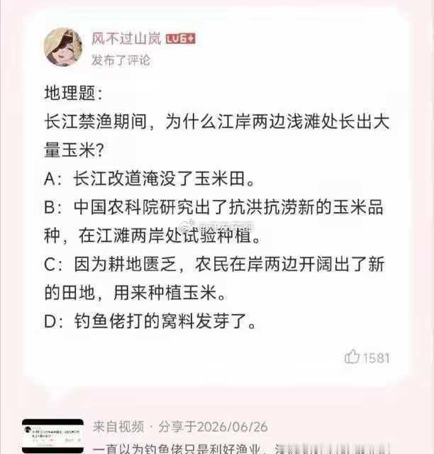 答案是什么