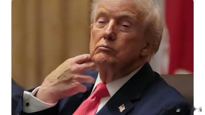 我觉得在俄乌战争中，北约除美国之外的所有成员国，都极其希望能将俄罗斯彻底击败。然