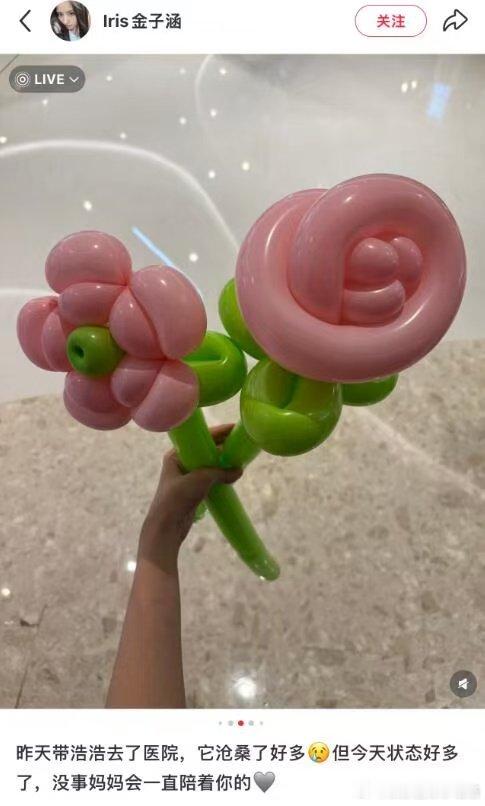 金子涵手腕上好多伤疤 天呐……刷到金子涵动态，评论区有人发现她手腕好多伤疤…疑似