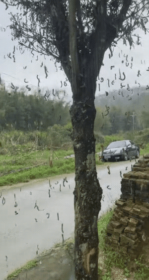 看的我头皮发麻