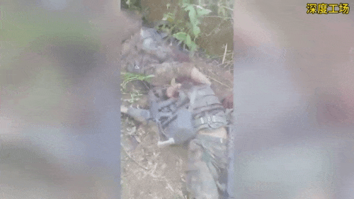 果敢同盟军山区设伏，前后拦截，80式机枪和81式自动步枪全点射，瞬间打死100多