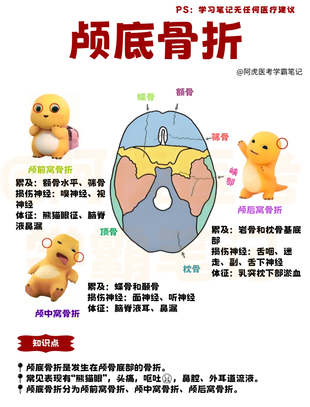 医学生笔记📒｜颅底骨折👆