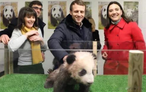 今非昔比！
马克龙访华：上次百亿订单刷爆屏，这次中方连预热通稿都没有！法国总统访