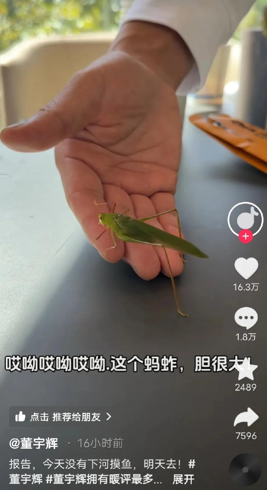 董宇辉发了个放飞蚂蚱的视频，似乎意味深长。


是在借此说点什么呢？让人浮想联翩