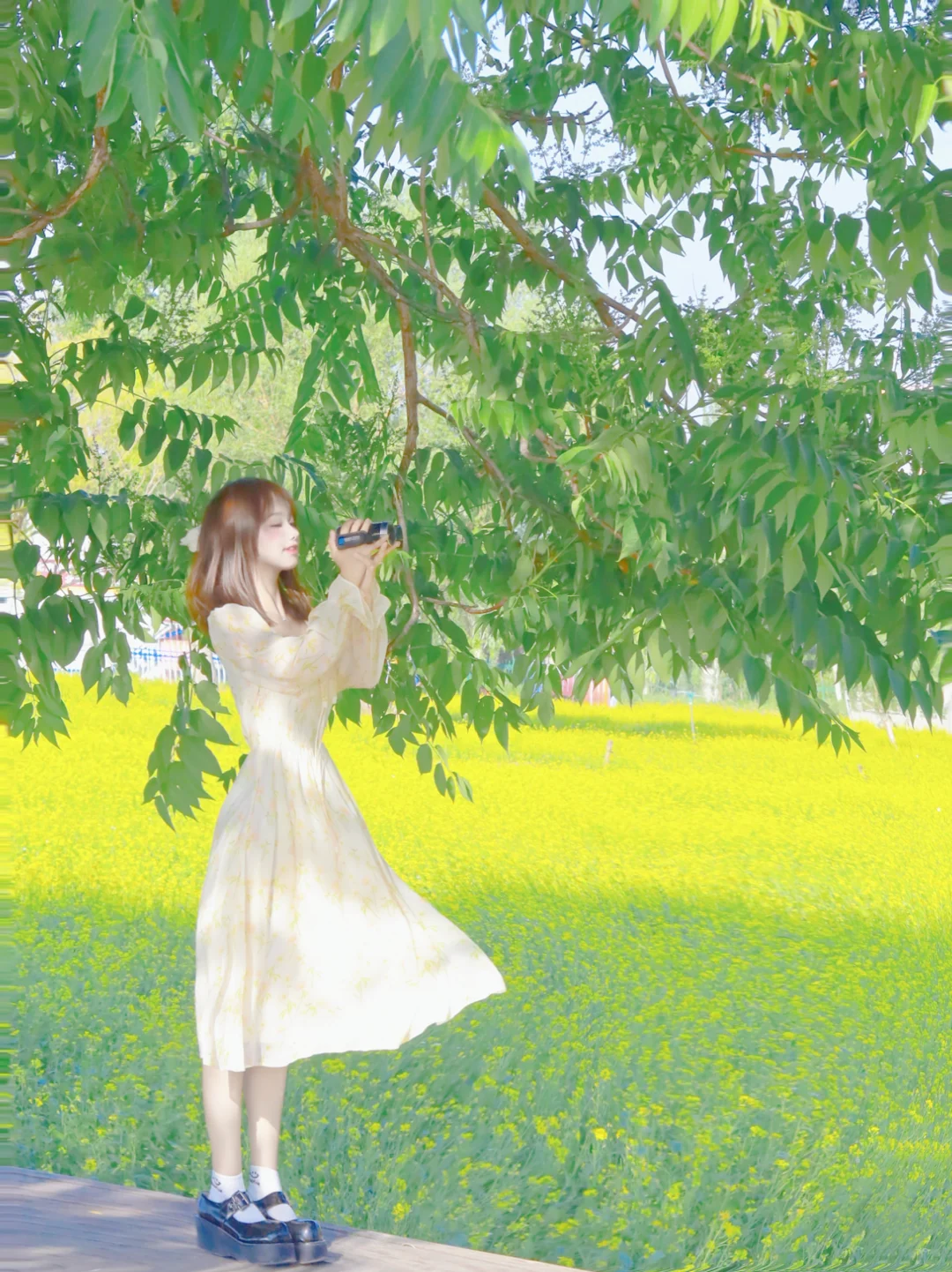 掉入了宫崎骏的花海|附油菜花拍照调色教程