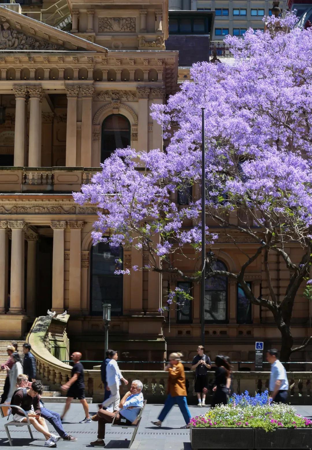 16岁以下禁用社交媒体你支持吗？
全球首例！澳大利亚近日宣布一条禁令，16以下孩