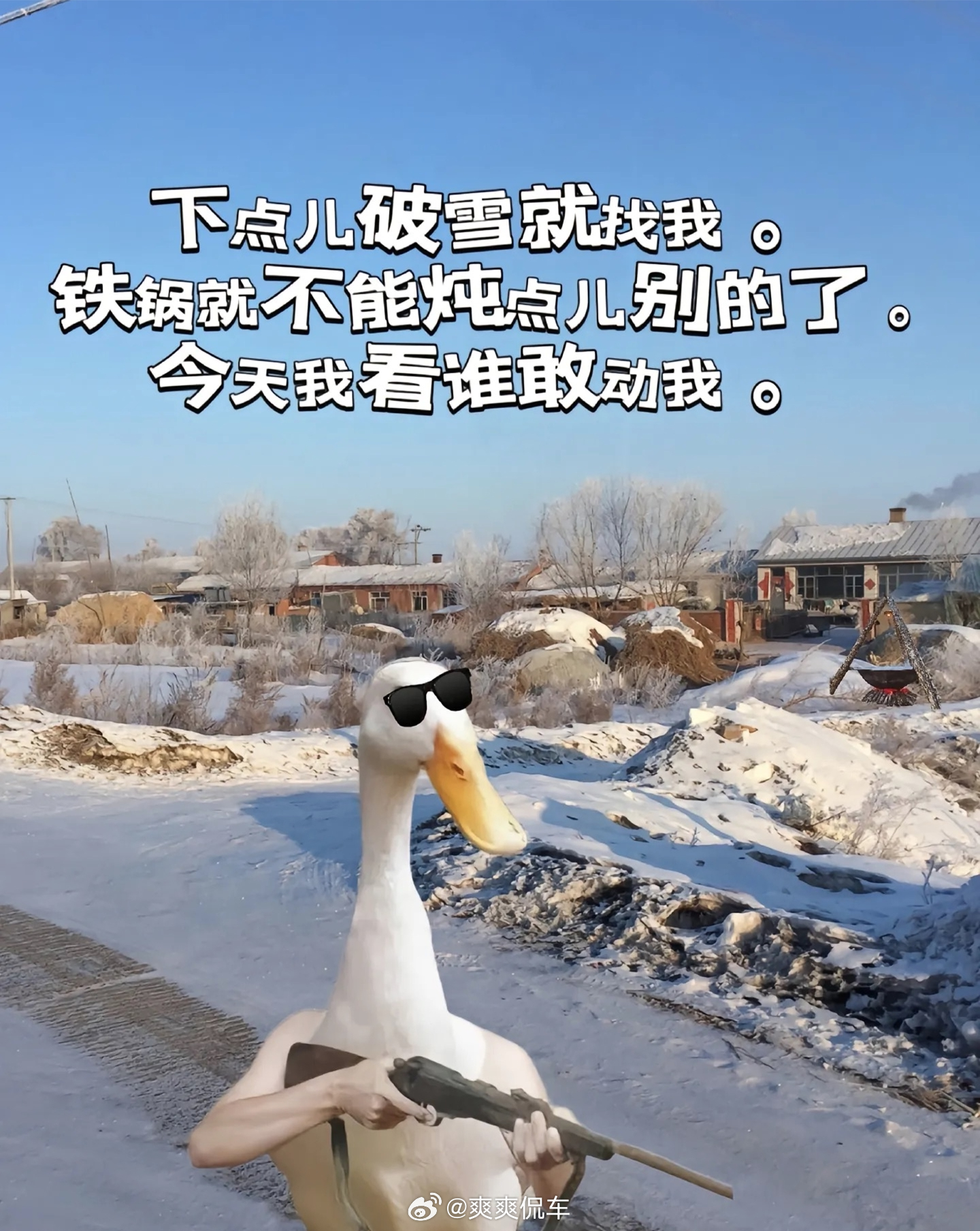 [黑线][黑线][黑线]心疼大鹅一分钟好了。。#北京初雪# ​​​