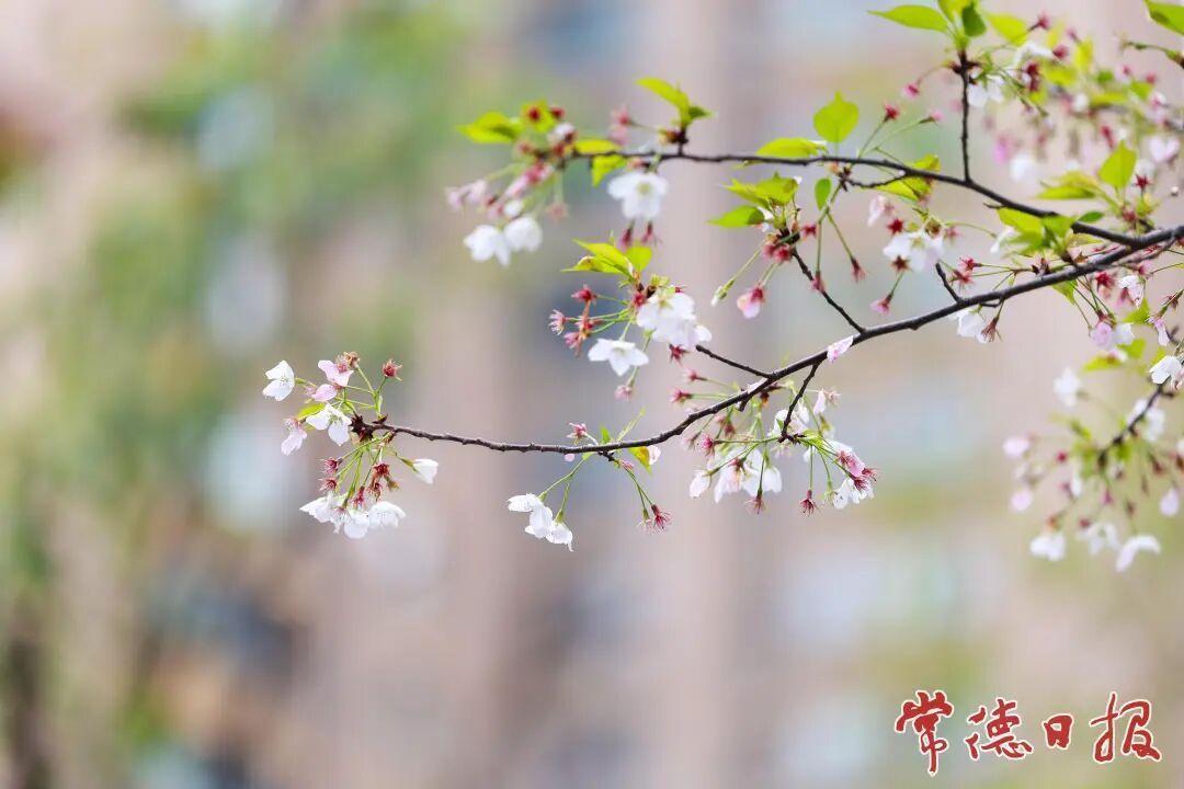 读《近思录》之3.61　

伊川先生《春秋传序》曰：天之生民，必有出类之才起而君