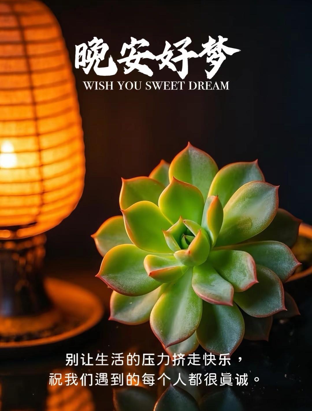 晚安[给力][鲜花] ​​​