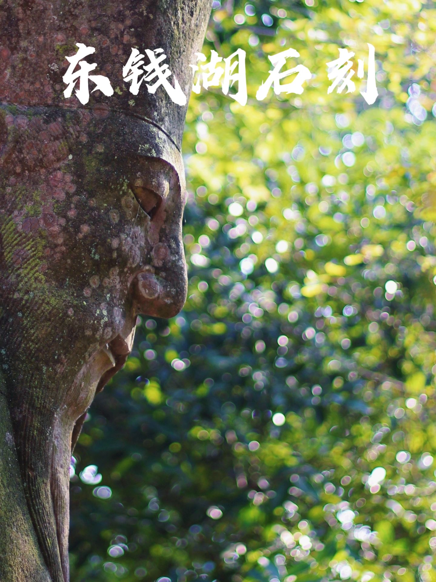 99%人会错过❗️这就是江南兵马俑，太震撼