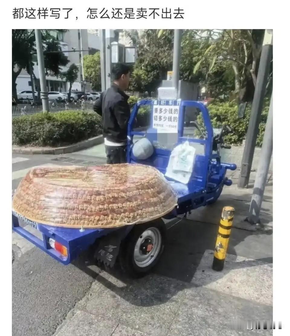 钱，让你明白了什么道理 如何看待青岛的高温天气