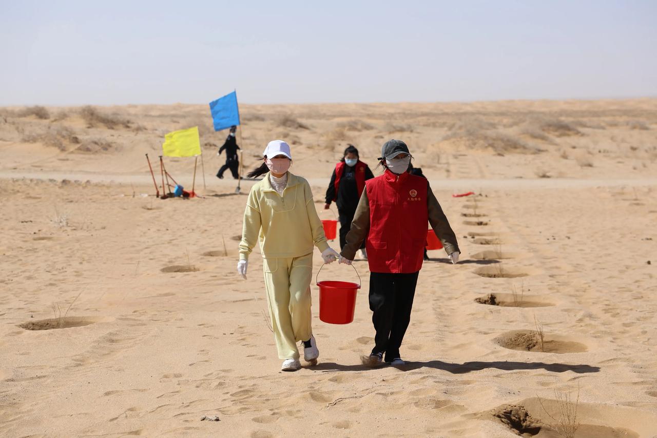 请到民勤种棵树
 
巴丹吉林和腾格里的边缘
有一座孤岛似的民勤
风沙如浪潮般汹涌