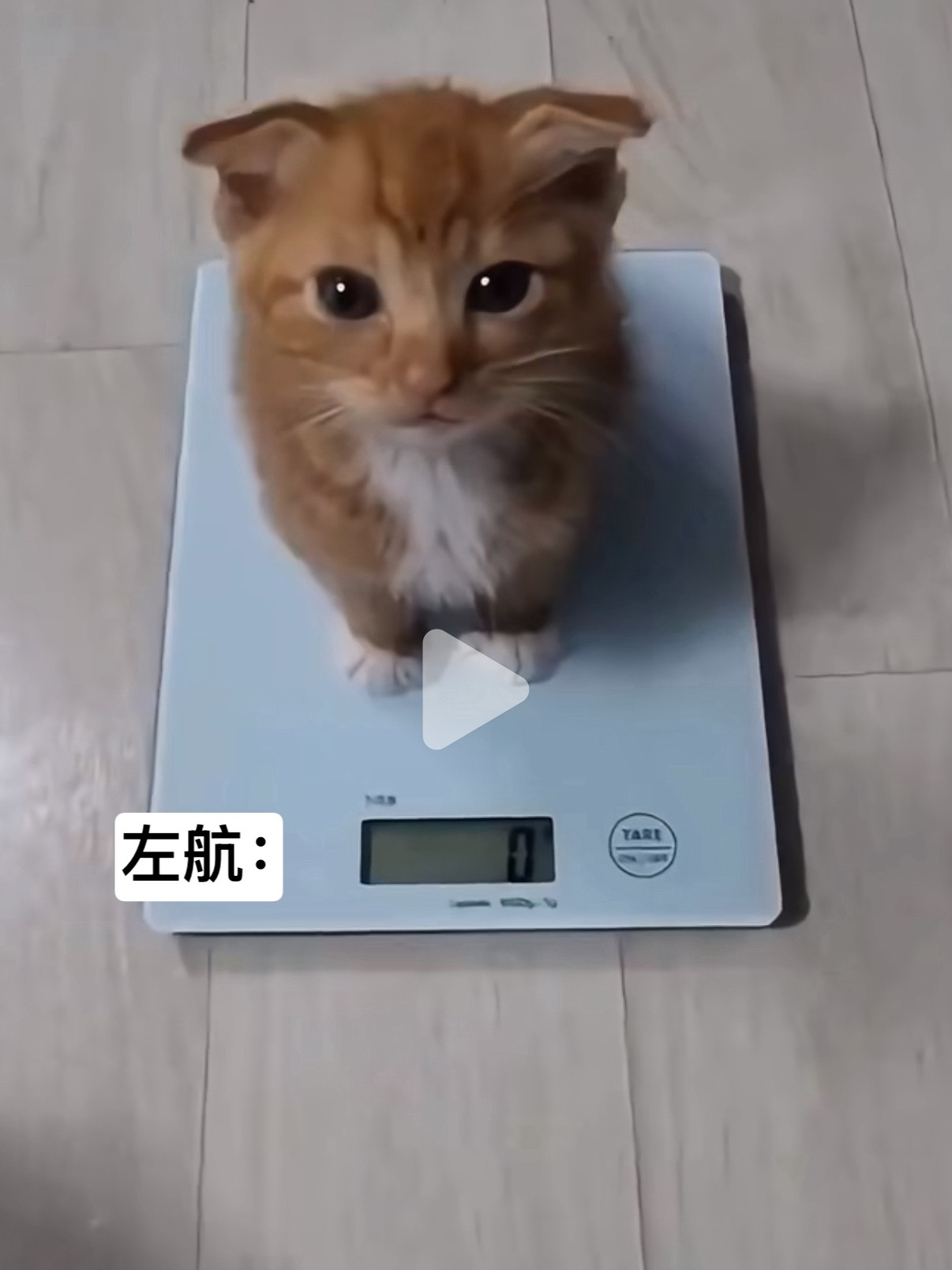 你肯定没事 你很轻！ ​​​