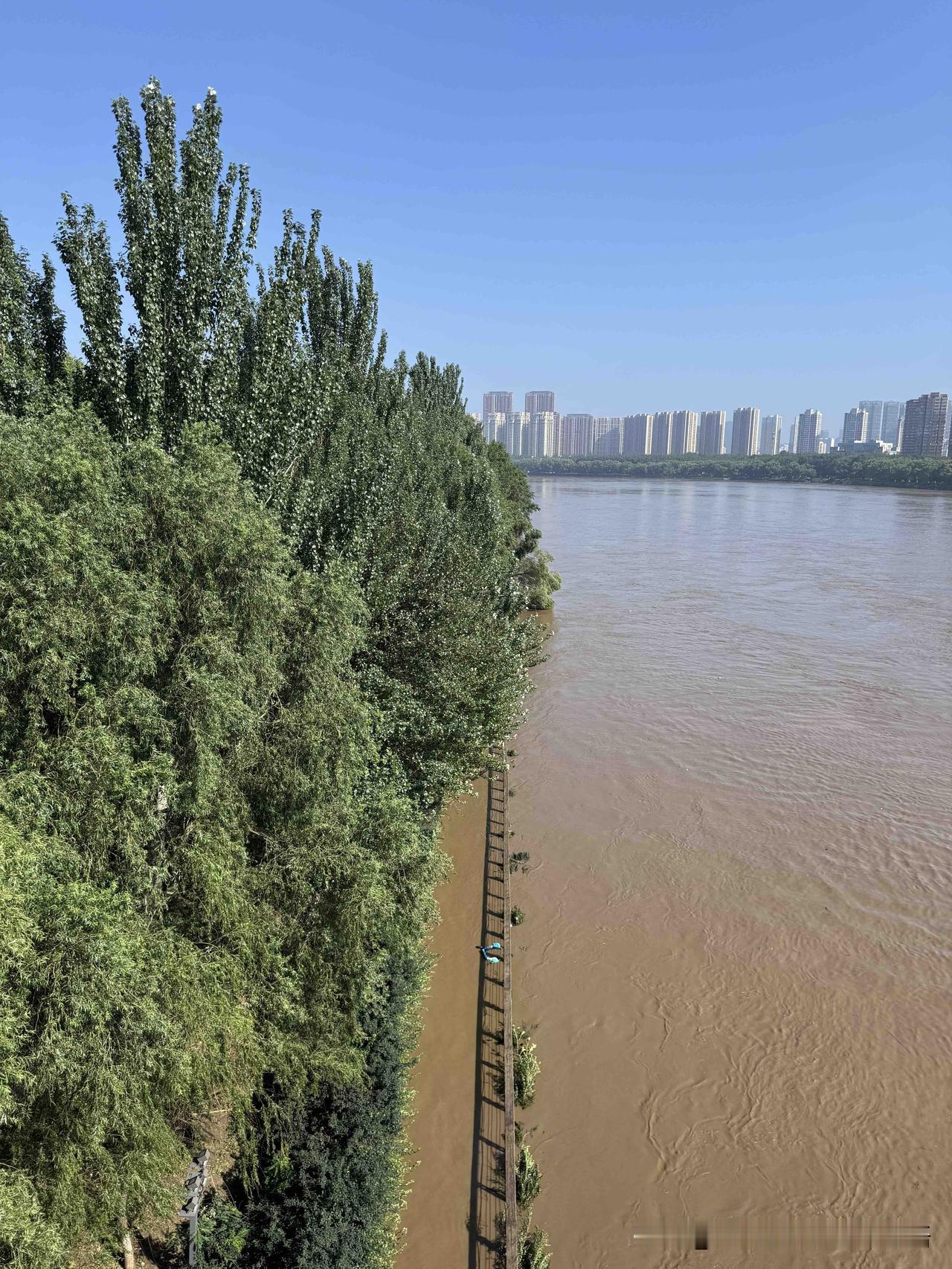沈阳：一个无雨的明媚早晨，真让人欢喜！