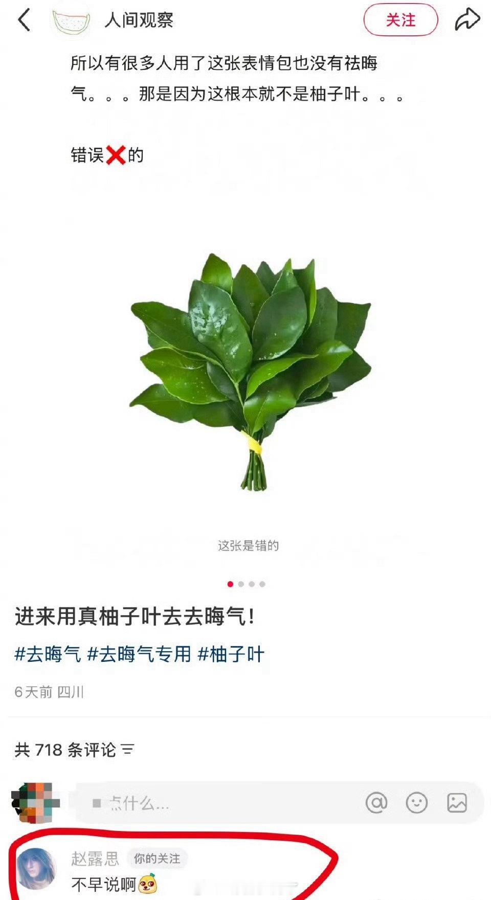 网友说大家用柚子叶去晦气没用是因为用错了，赵露思回复网友：不早说。并把自己背景改