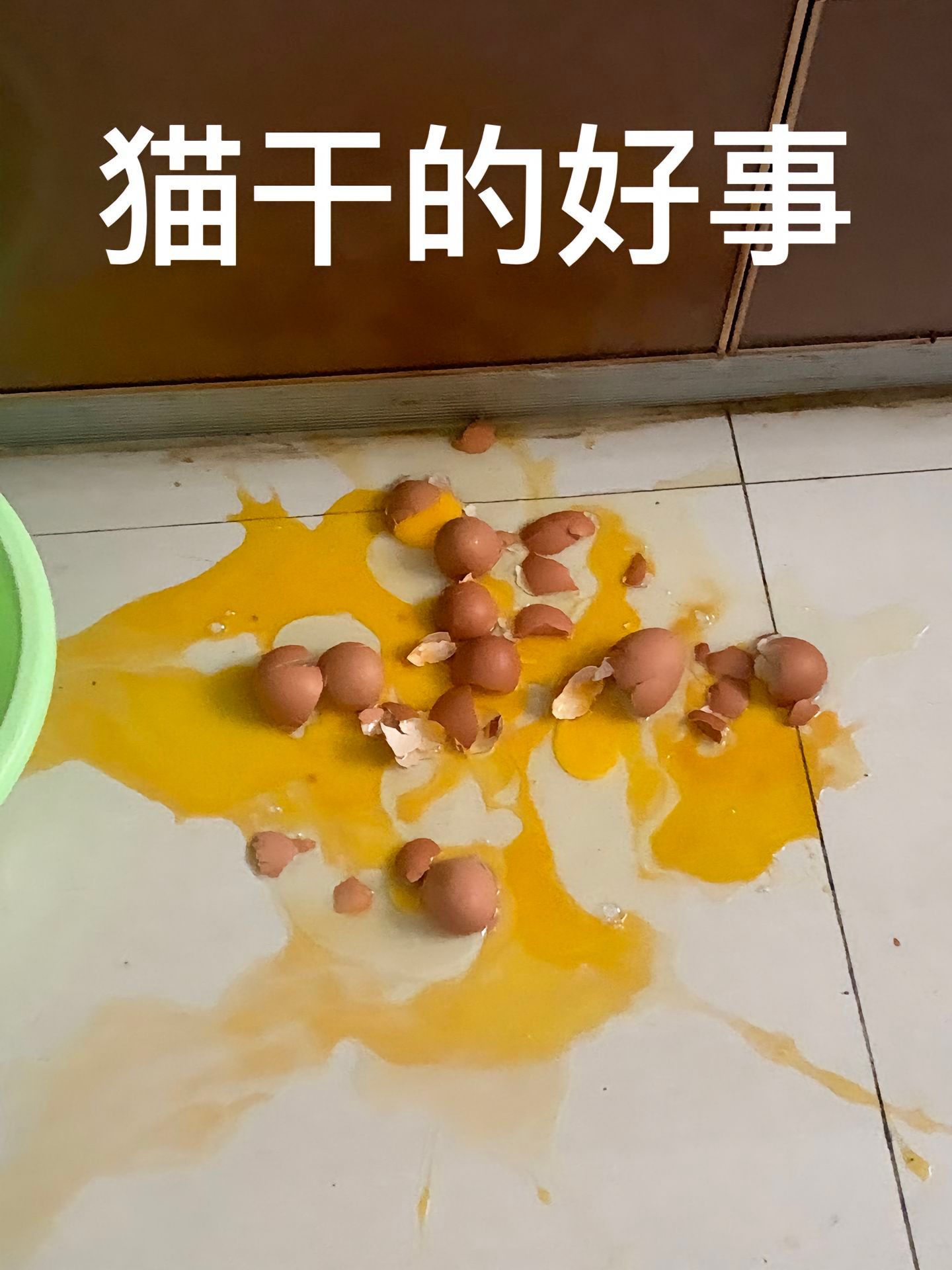 狗：这个家没我会垮 