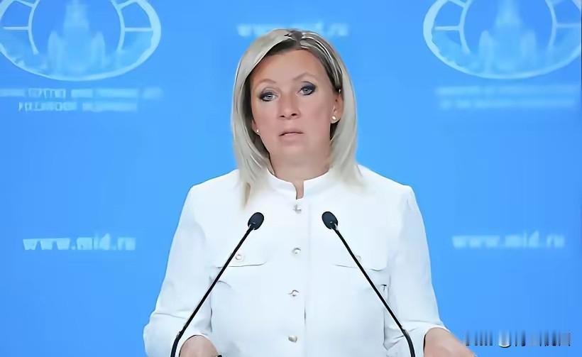 赫尔松跨年夜的惨叫声还在耳边回荡，24条人命在新年钟声里化为灰烬。俄罗斯外交部甩