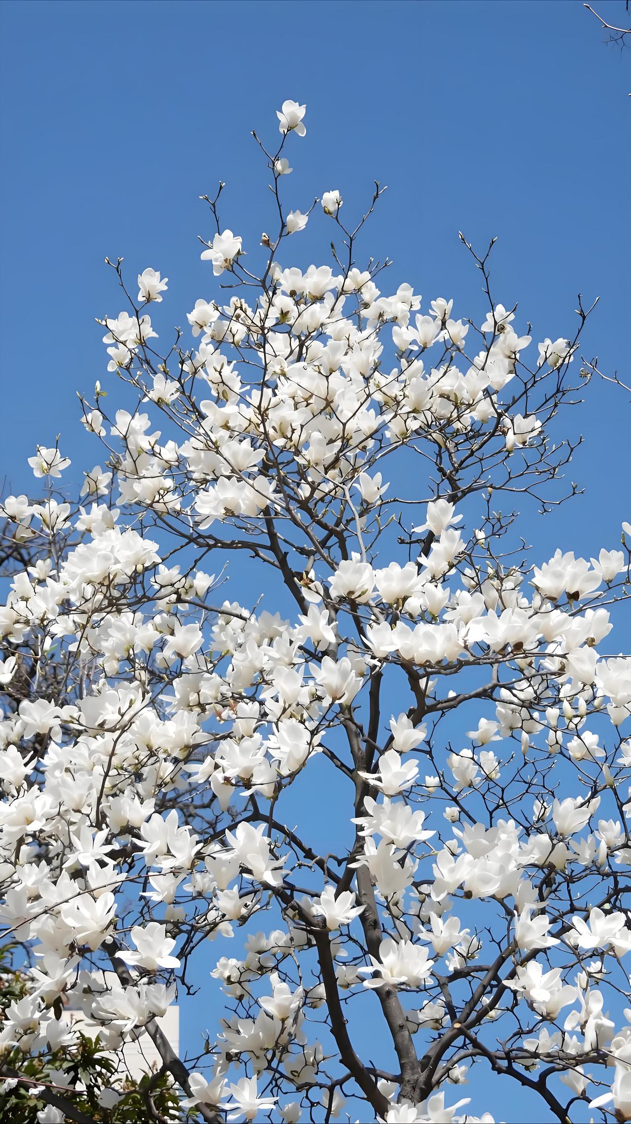 一个女生，如果家庭条件很好，自己有工作，长得还行，性格也不错，长期在相亲，但35